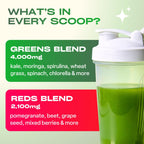 GoBiotix daily superfood blend with probiotics and digestive enzymes for bloating relief