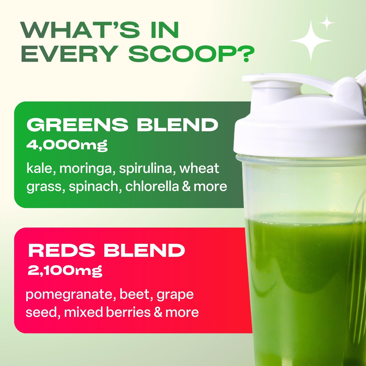 GoBiotix daily superfood blend with probiotics and digestive enzymes for bloating relief