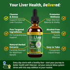 Rejuvica Health VitaLiver two fluid ounces bottle showing the dropper applicator.