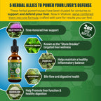 Back label of Rejuvica Health VitaLiver supplement outlining the herbal blend ingredients.