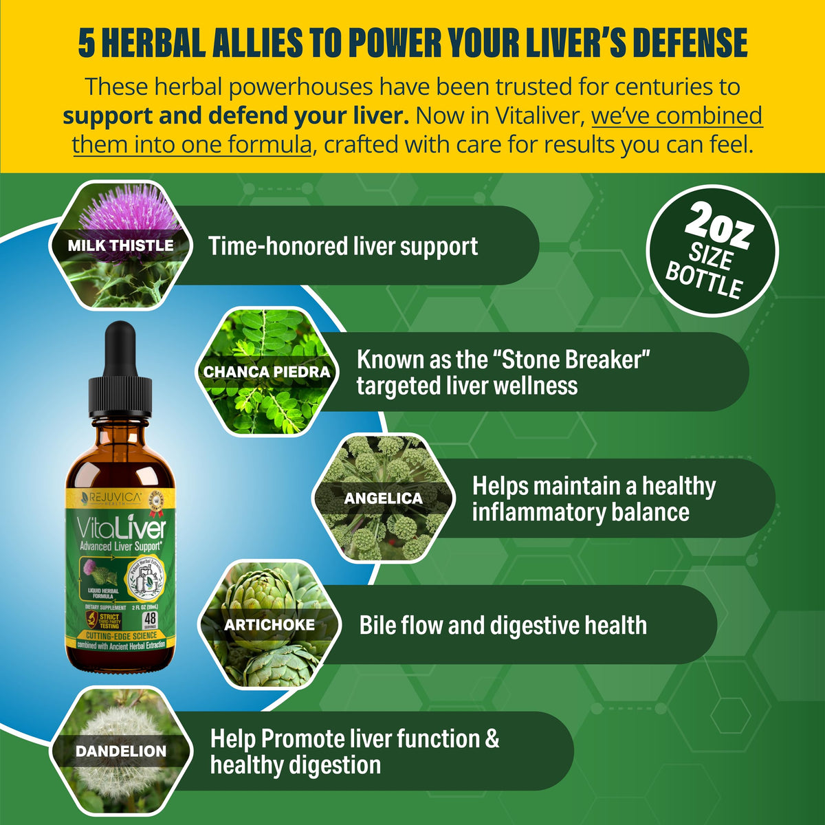 Back label of Rejuvica Health VitaLiver supplement outlining the herbal blend ingredients.