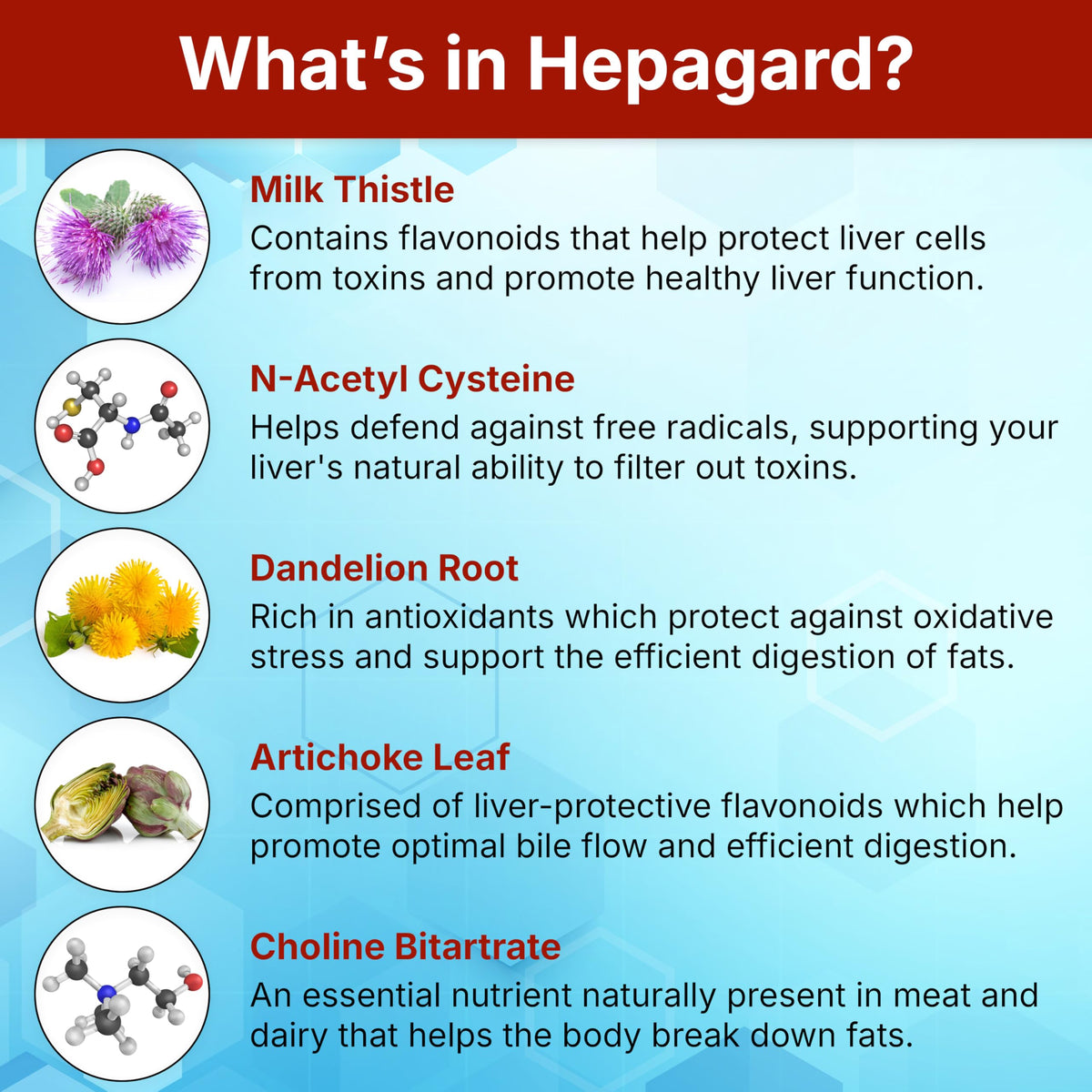 Hepagard natural liver detox capsules bottle showing full product facts and vegan dietary information