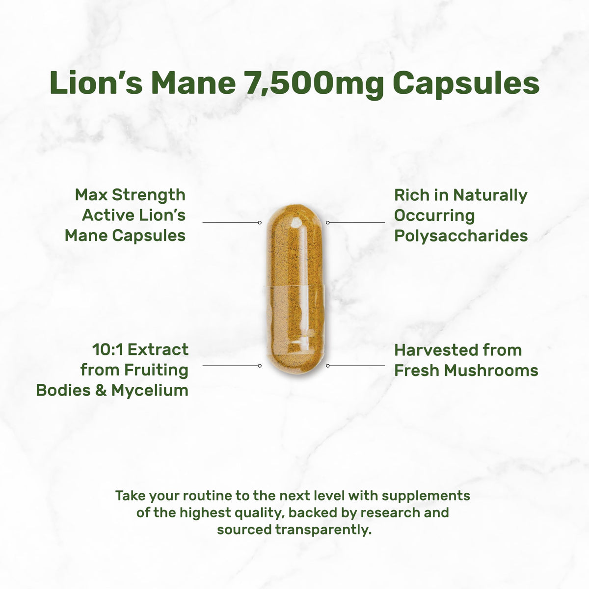 Premium immune and brain support mushroom extract dietary capsules lifestyle presentation