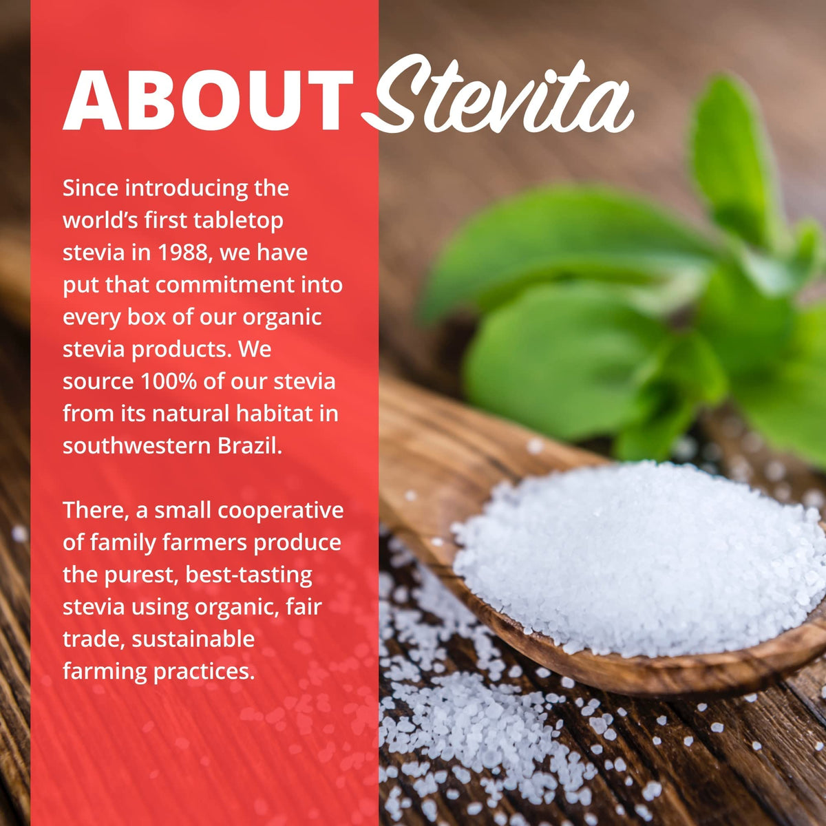 Stevita pure stevia without erythritol imported beauty and health care