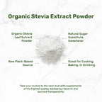 Close up shot of the pure white stevia leaf extract powder being measured with a small spoon for kitchen use.