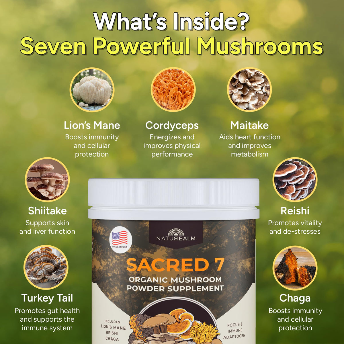 Finely ground organic functional mushroom powder scoop detail