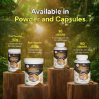Adding a scoop of functional mushroom supplement powder into a green smoothie blender