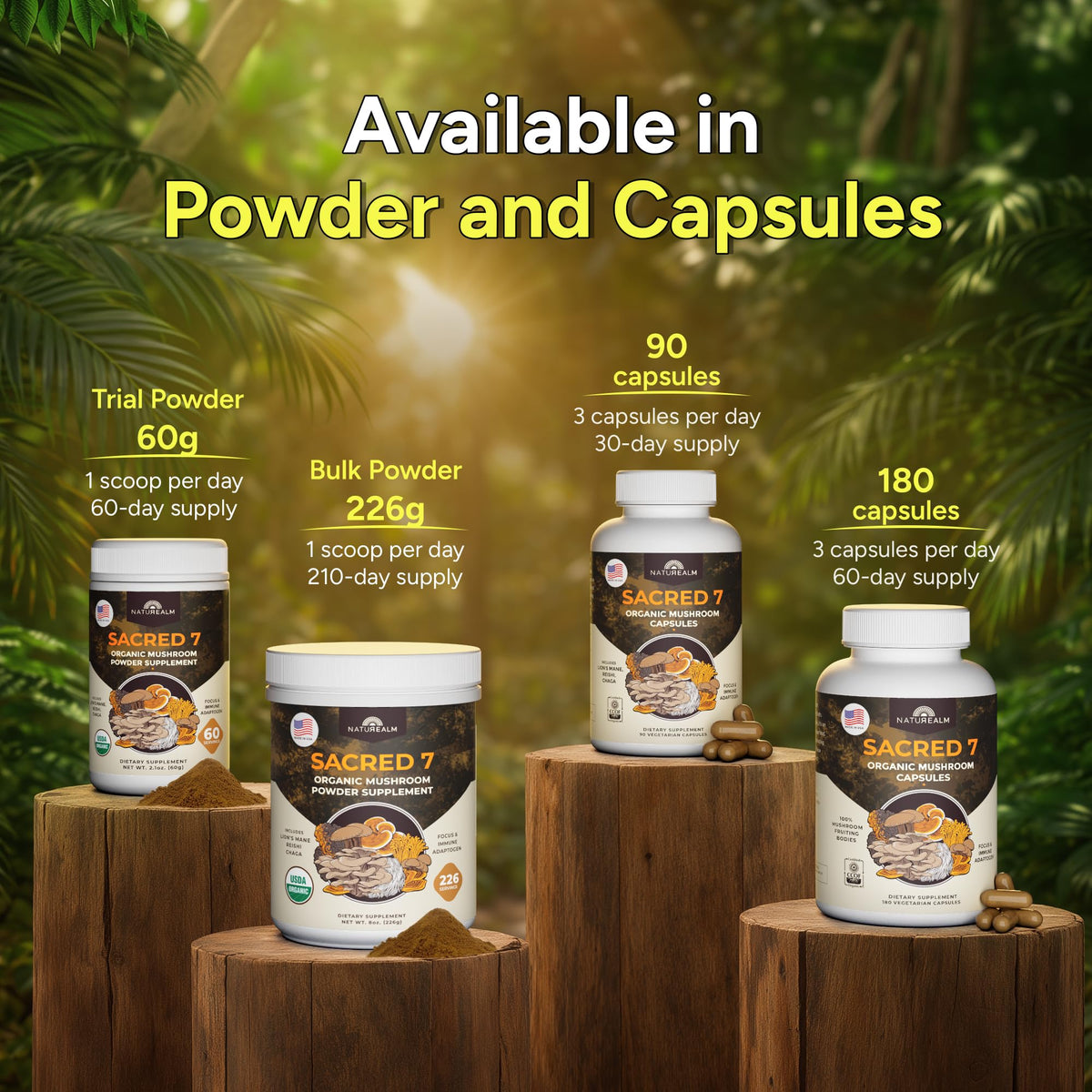 Adding a scoop of functional mushroom supplement powder into a green smoothie blender