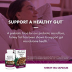 Vegan and gluten free organic turkey tail mushroom capsules close up view