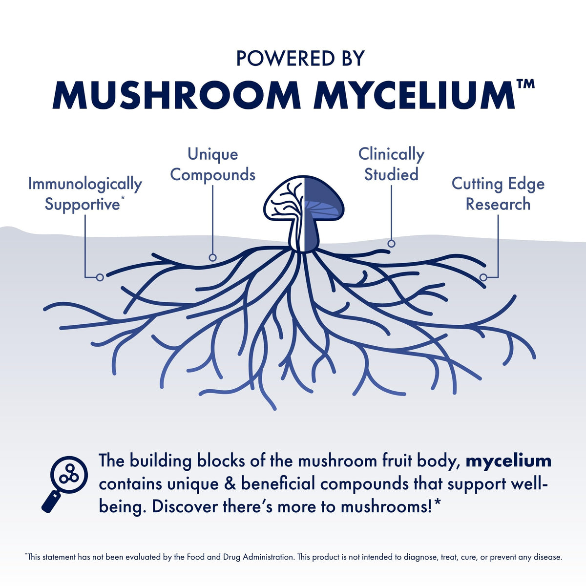 Authentic Host Defense functional mushroom complex dietary supplement.