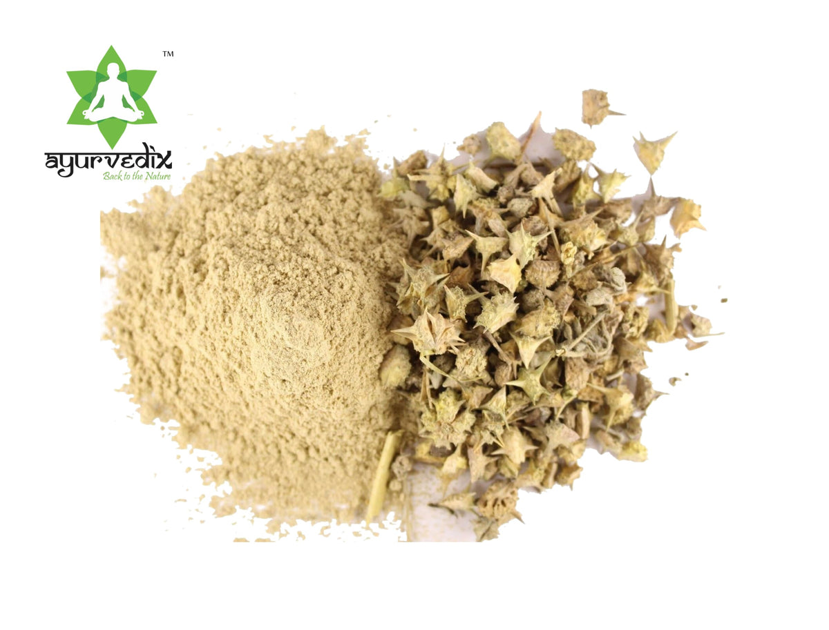 Authentic Ayurvedix Gokshura supplement jar side profile