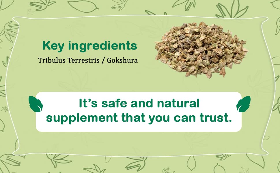 Natural Tribulus Terrestris powder in a glass jar