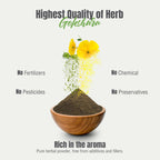 Close up texture of HerbsForever Tribulus terrestris fruit powder
