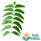 Goodluck Ganesha Fresh Neem Margosa leaves in package