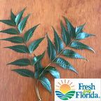Authentic Goodluck Ganesha Fresh Neem leaves for skincare