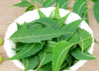 Goodluck Ganesha Fresh Neem leaves top packaging view