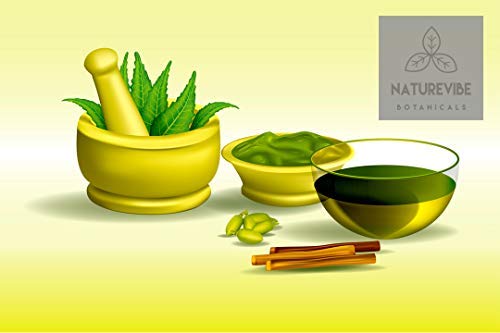 Naturevibe Botanicals Organic Neem Leaf Powder fine texture