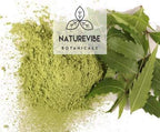 Naturevibe Botanicals Organic Neem Leaf Powder scoop and powder
