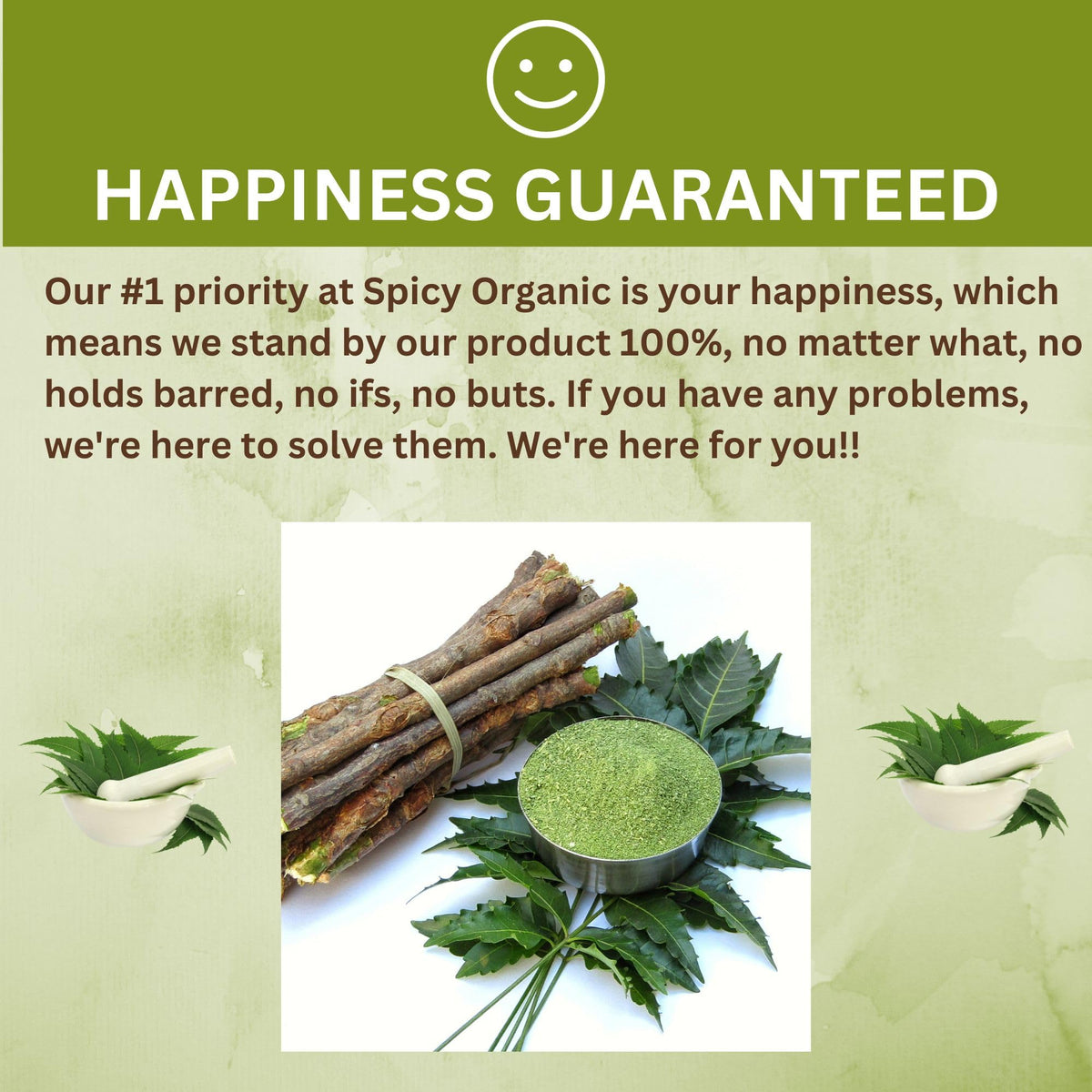 Natural neem leaf powder ready for DIY face mask