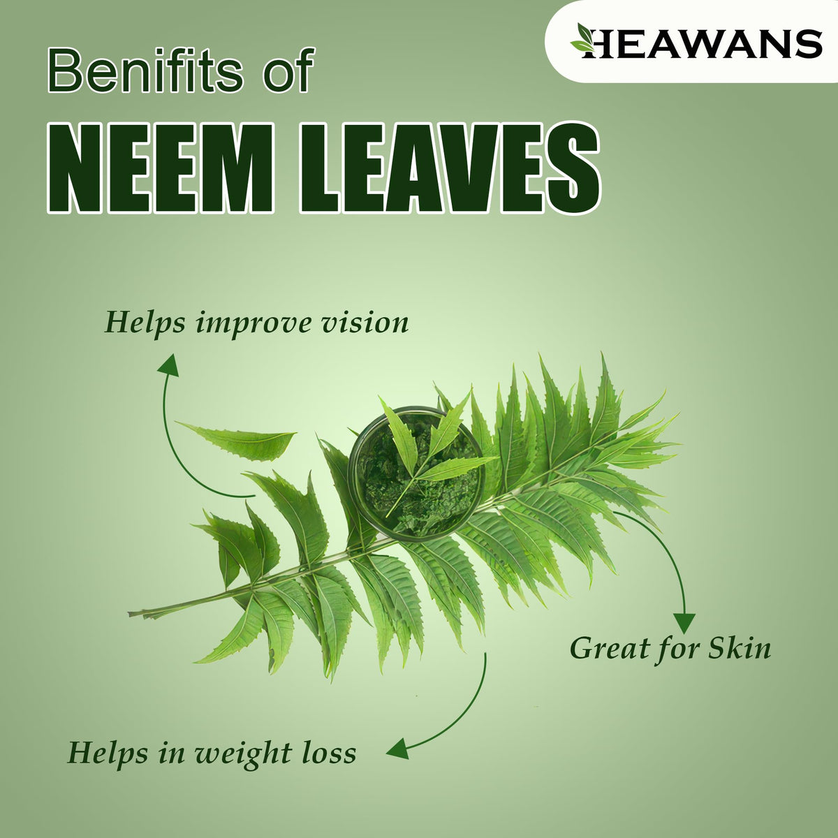 Heawans Naturally Grown Dried Whole Neem Leaves texture and natural color