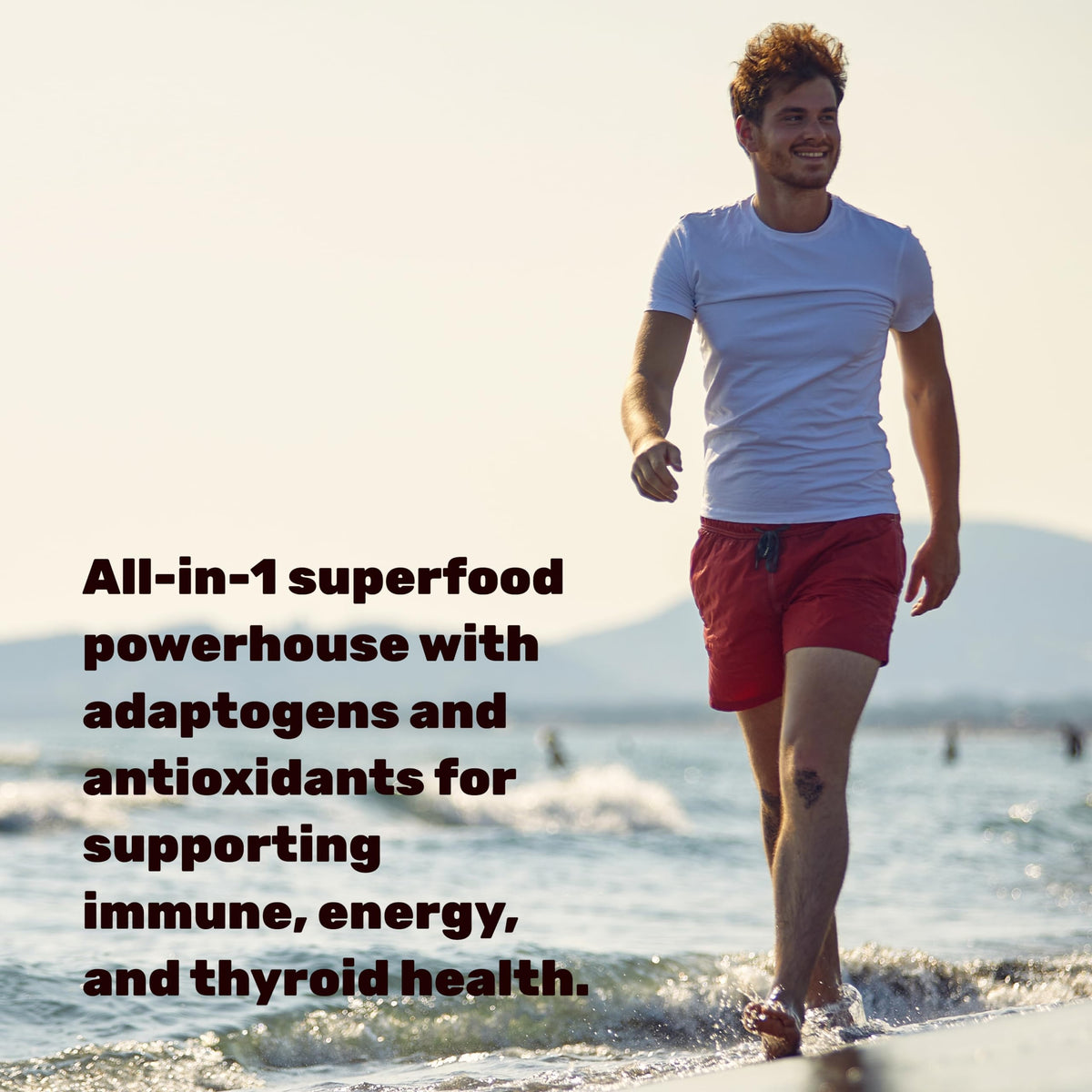 Deal Supplement Irish Sea Moss 240 veggie capsules package