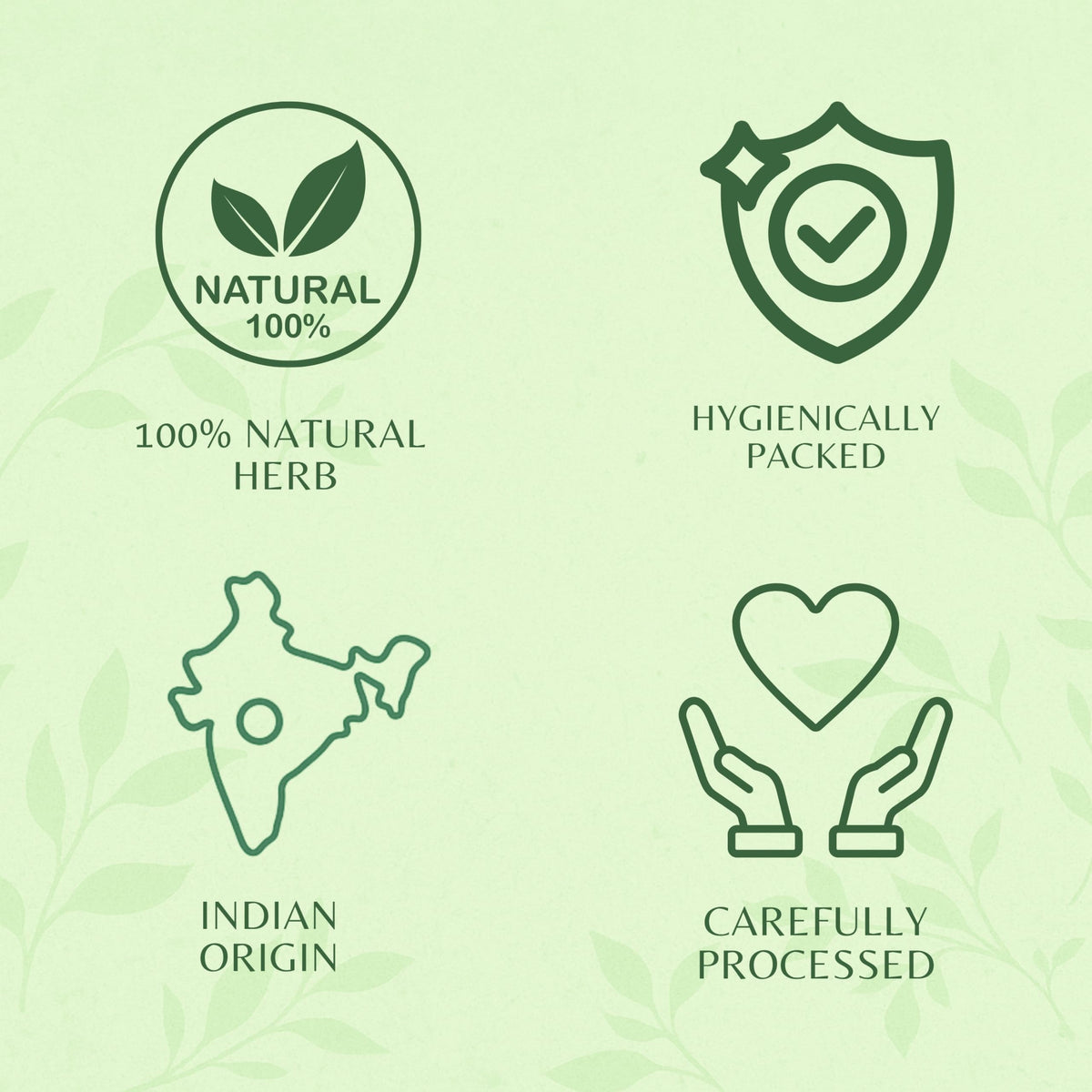 Ayurvedashree digestive supplement pouch standing on a clean background.