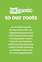 Back of bottle showing supplement facts for Nettle capsules