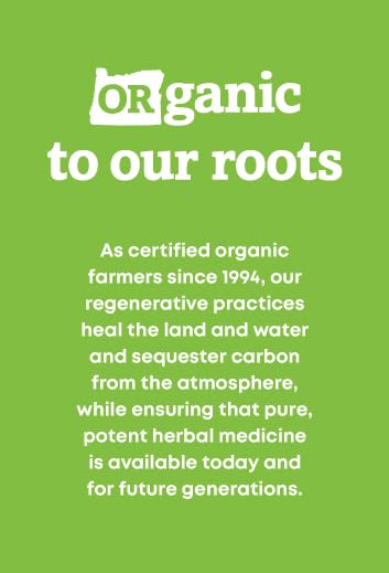 Back of bottle showing supplement facts for Nettle capsules