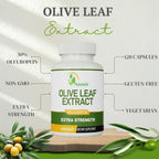 High potency 300 milligrams olive leaf extract bottle detailing the active ingredients