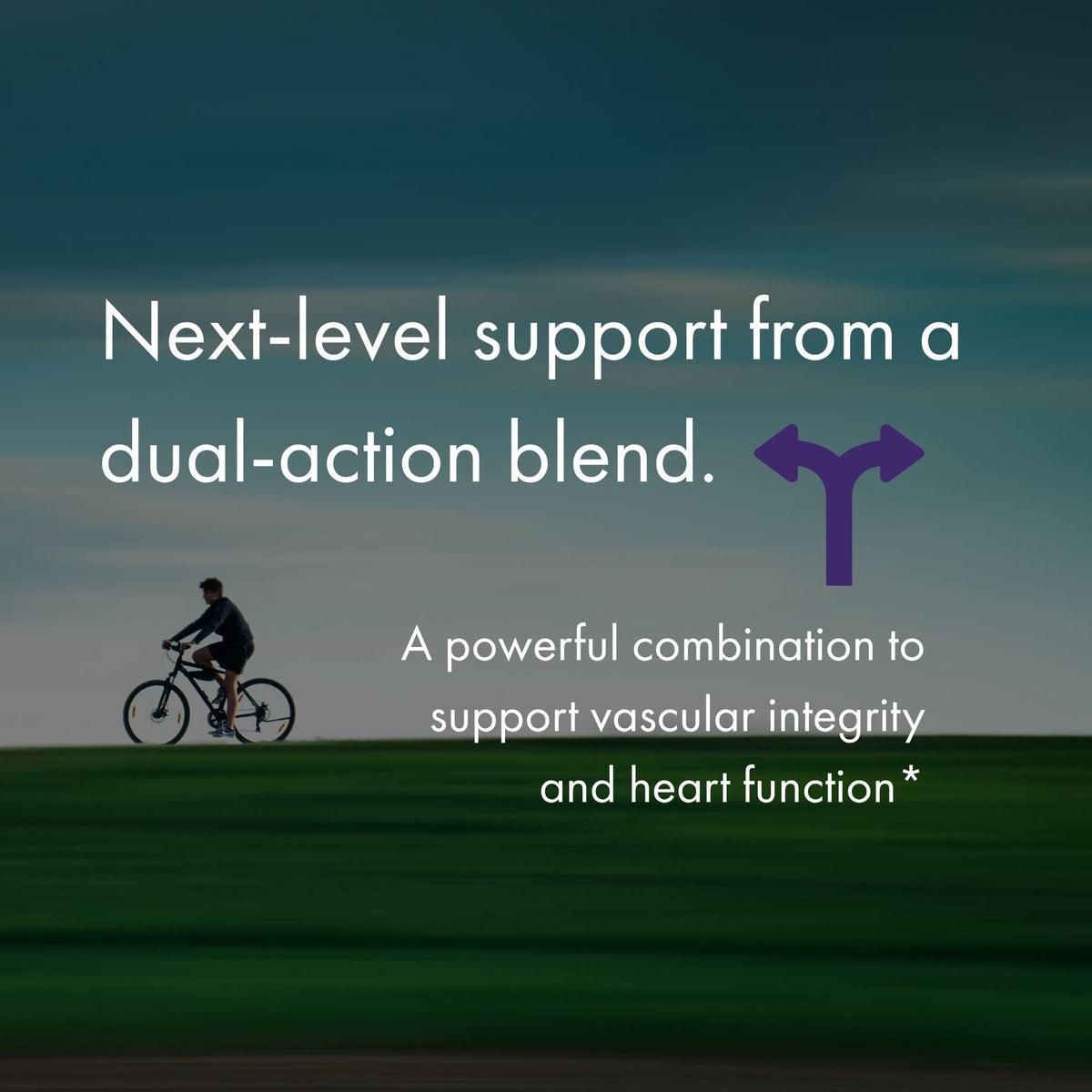 NAOMI BP Advanced olive leaf extract and vitamin k2 benefits graphic
