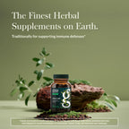 Gaia Herbs Olive Leaf 120 count bottle close up