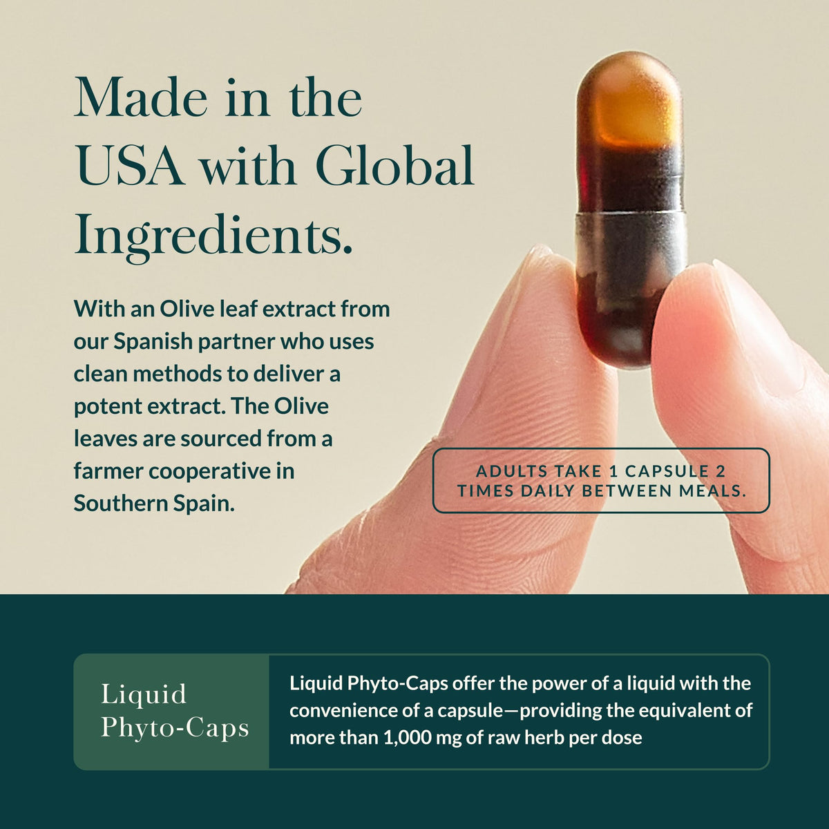 Gaia Herbs Olive Leaf Liquid Phyto-Caps dietary supplement