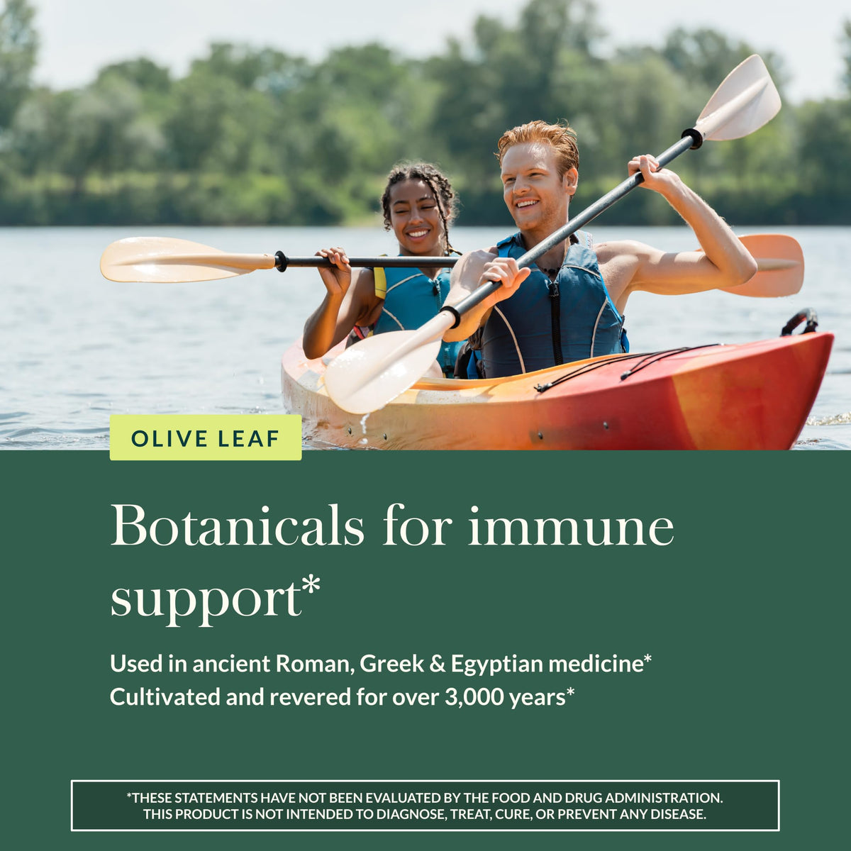 Authentic Gaia Herbs Olive Leaf immune support capsules