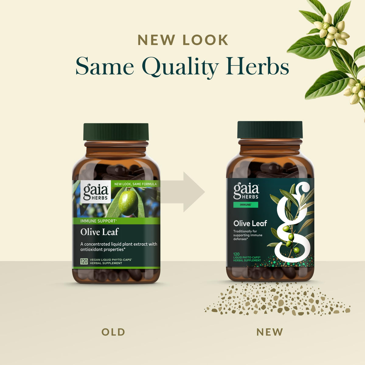 Side profile of Gaia Herbs Olive Leaf 120 capsules
