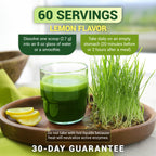 Dr. Berg green powder superfood jar featuring the organic stevia leaf sweetener detail on the label