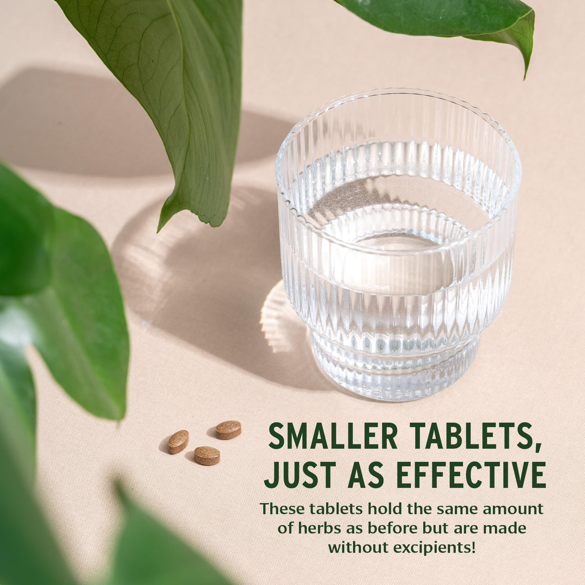 Authentic imported USA Banyan Botanicals herbal tablets container displaying sustainable materials