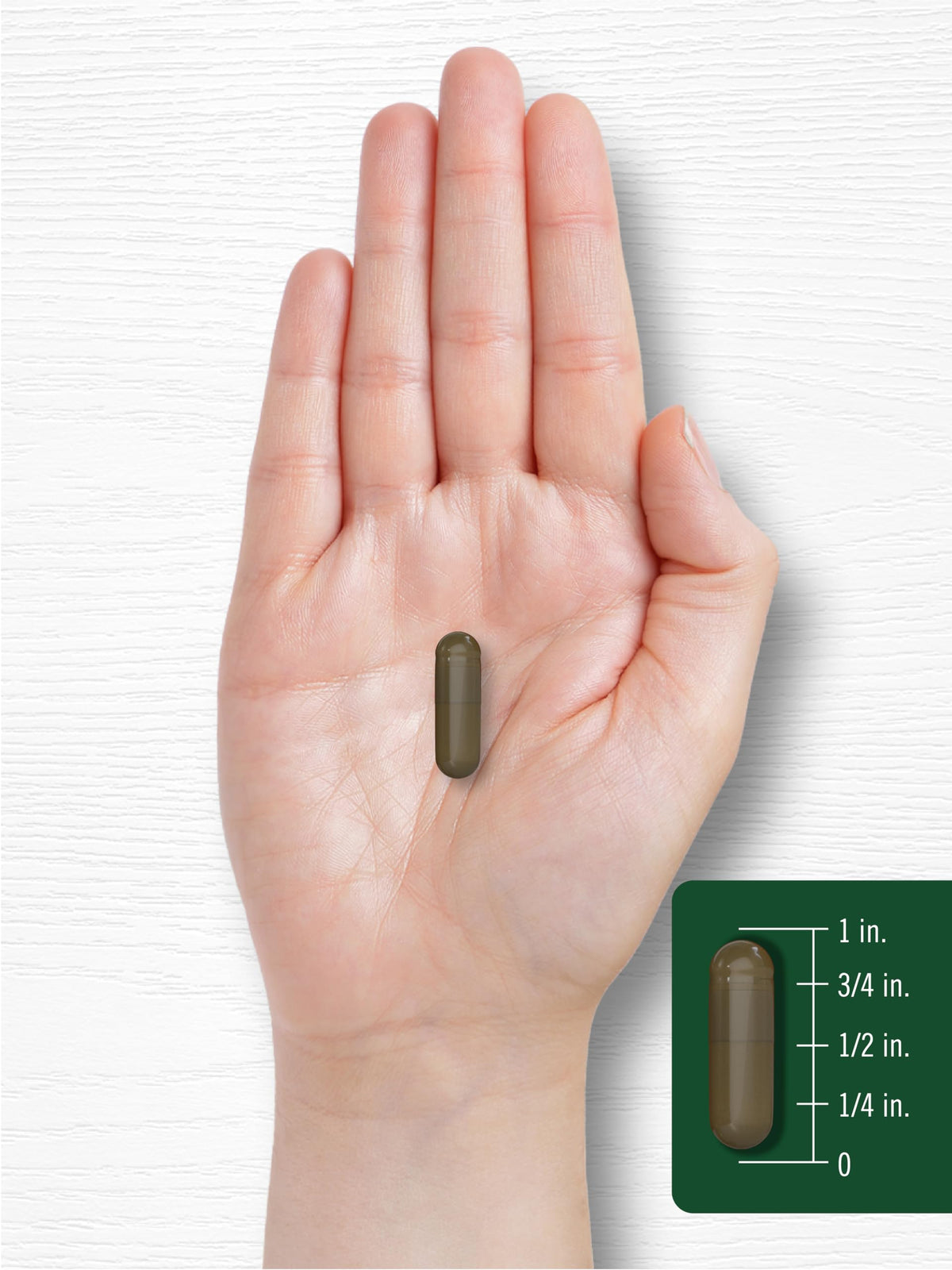 Close up view of Carlyle Triphala Ayurvedic gut health supplement packaging
