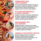 PrimeMD vegan capsules highlighting 20 to 1 extract potency and third party tested seal