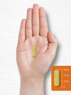 Lifestyle shot of Carlyle Turmeric Curcumin 180 capsules bottle showcasing premium imported health supplement standards