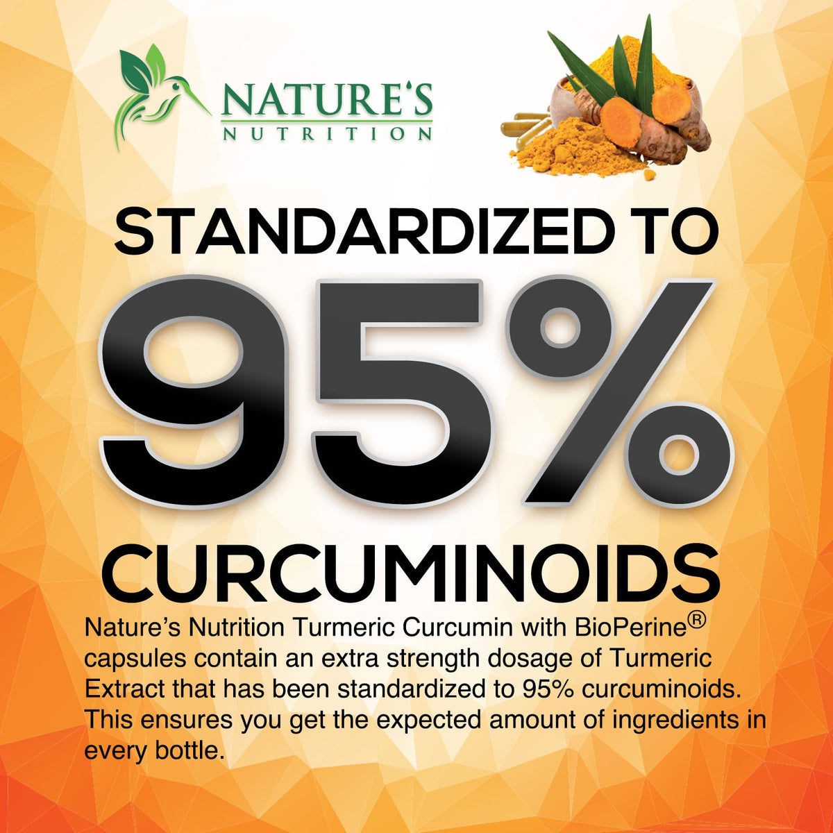 Nature's Nutrition Turmeric Curcumin with BioPerine supplement facts panel showing dosage details