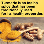 Standardized turmeric extract dietary supplement capsules container displaying USP verification seal