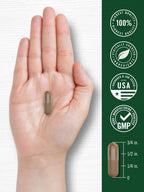 Carlyle Valerian Root traditional herbal formula bottle displayed on a clean wellness background