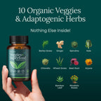 Supplements label close up displaying organic fruit extracts and green vegetable ingredients list
