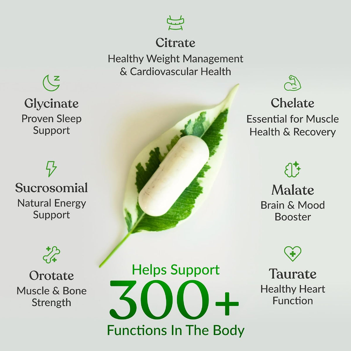 BiOptimizers magnesium breakthrough for sleep and recovery veggie capsules
