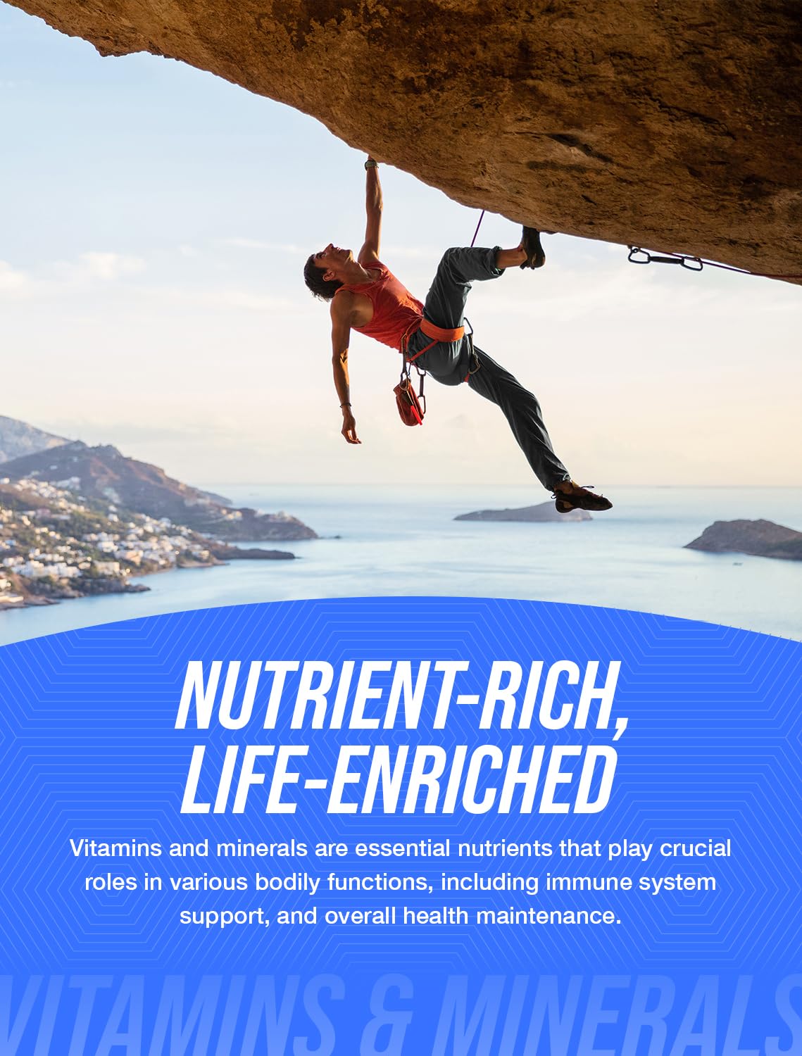 BulkSupplements brain health supplement gluten free verification and dietary attributes on white background.