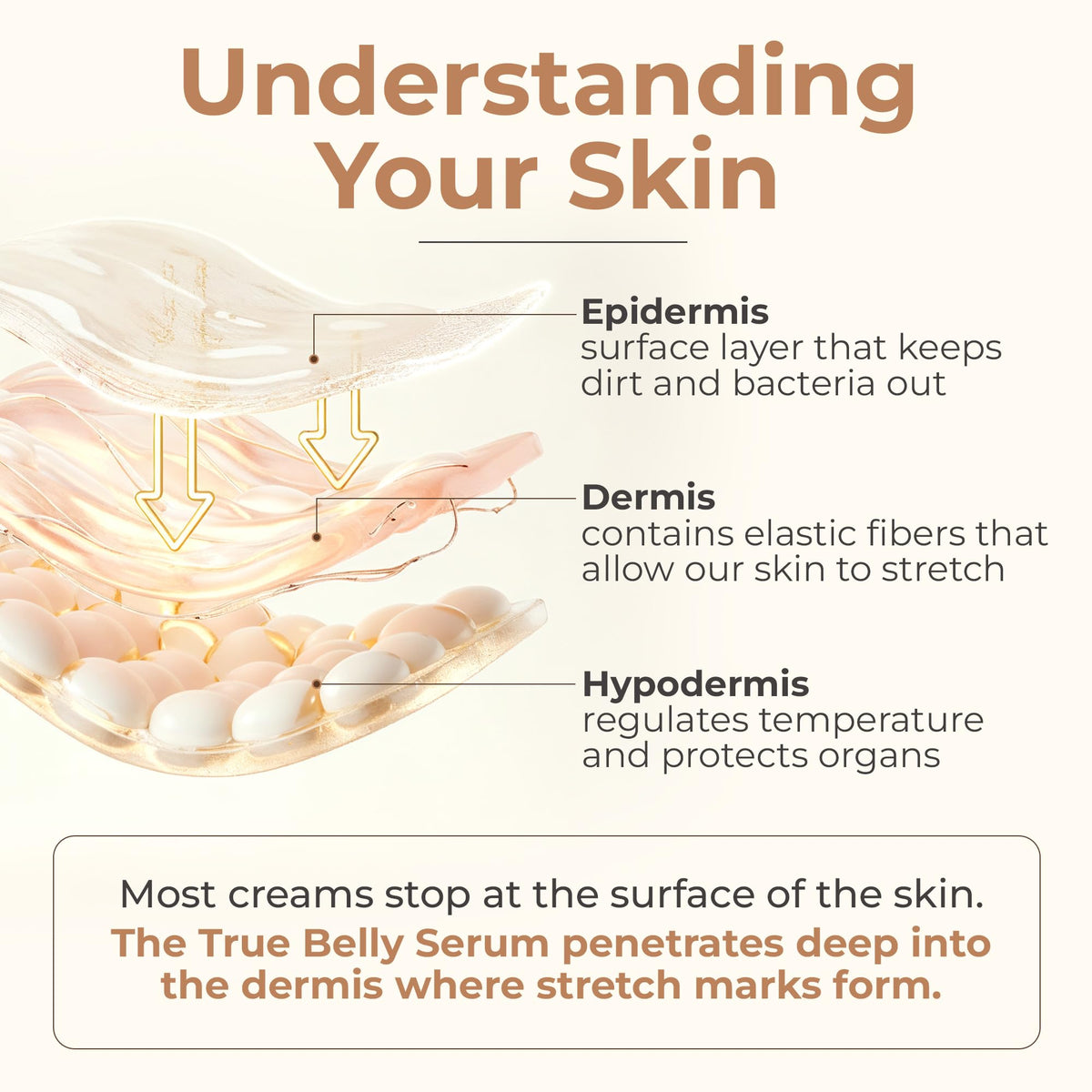 8 Sheep Organics True Belly Serum bottle next to natural skincare ingredients.