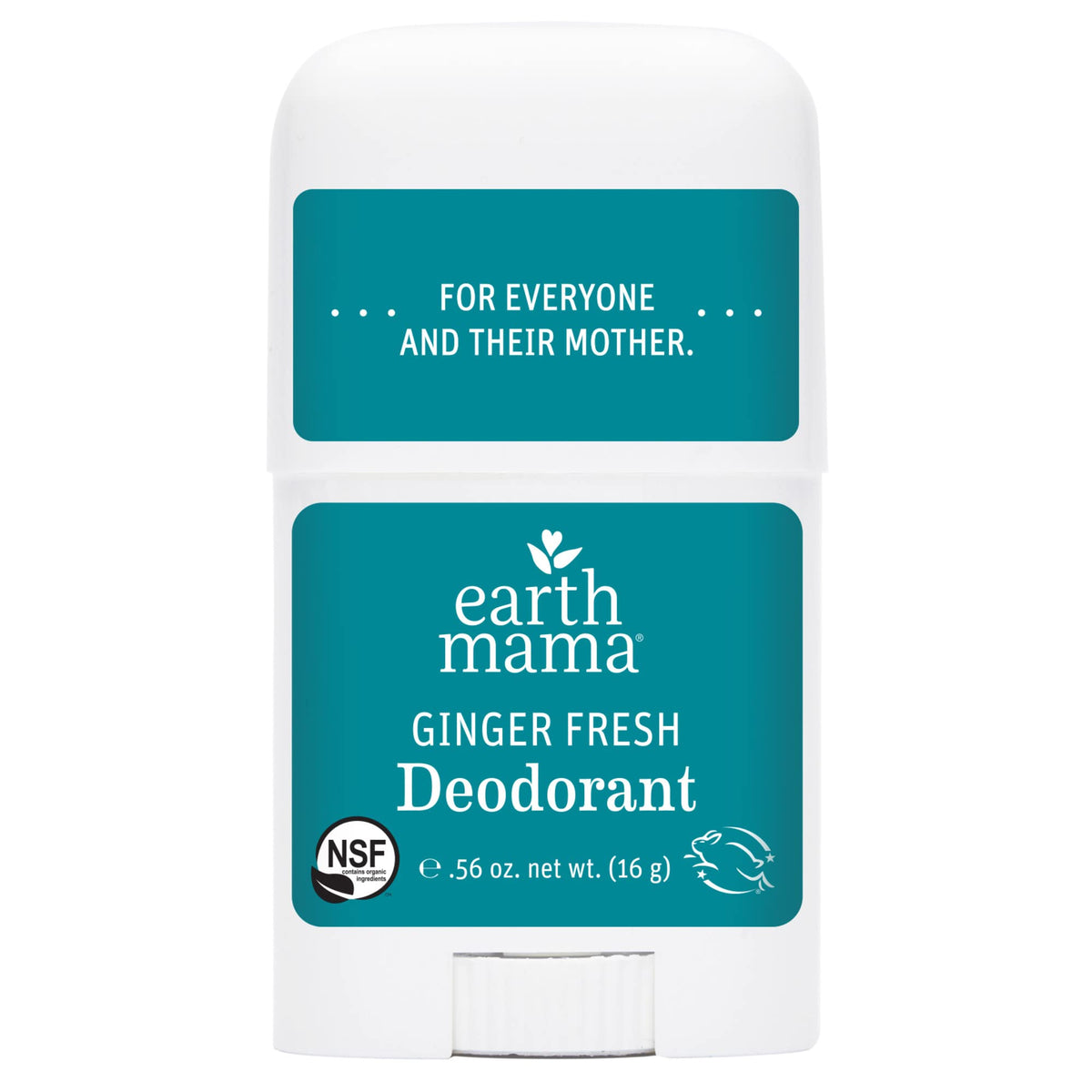 Earth Mama 5 piece maternity skin care travel kit displaying certified organic and toxin-free labels.