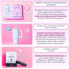 Rumbly felt prenatal document file organizer for storing early pregnancy medical papers and sonograms.
