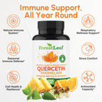 ForestLeaf Quercetin 500mg vegetarian capsules supplement facts and clean ingredients panel