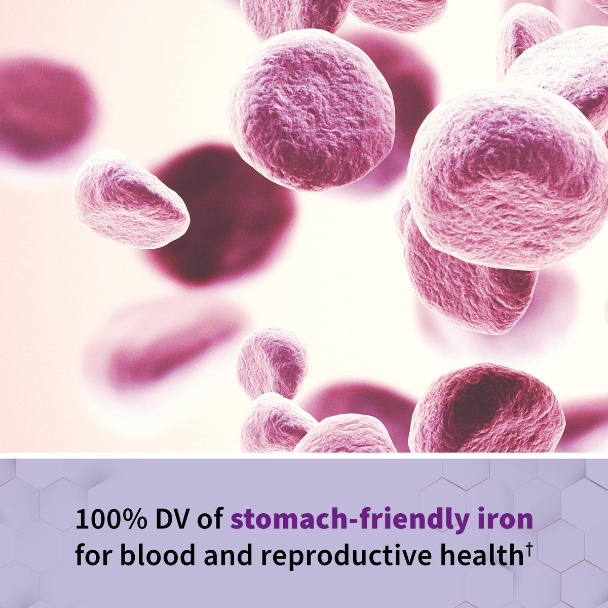Close up of Vitamin Code Raw Prenatal nutritional facts